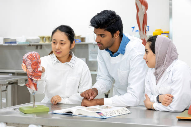 How to Get into Medicine in Australia: The Complete 2026 Guide”